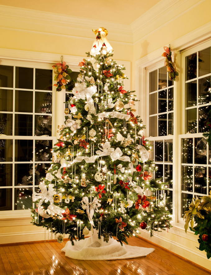 Tips for Professional Christmas Tree Lights