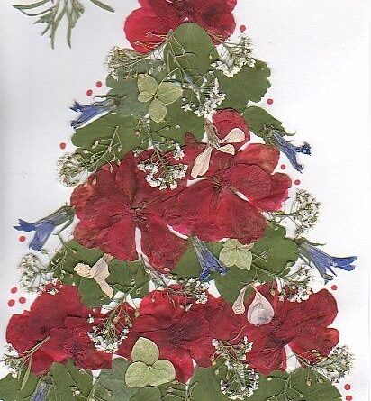 Press Poinsettias and Use as Decorations for Cards - Christmas Activity for Kids