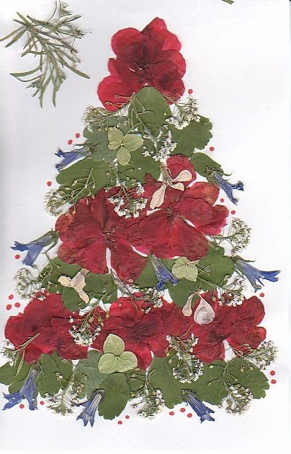 Press Poinsettias and Use as Decorations for Cards - Christmas Activity for Kids