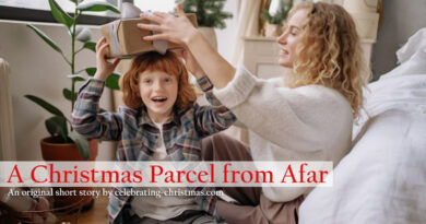 A Christmas Parcel from Afar - Free Online Short Story