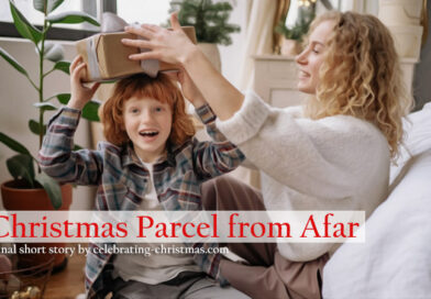 A Christmas Parcel from Afar - Free Online Short Story