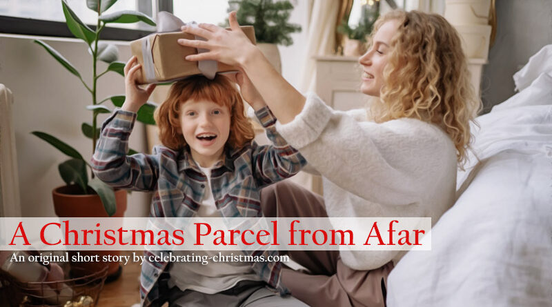 A Christmas Parcel from Afar - Free Online Short Story