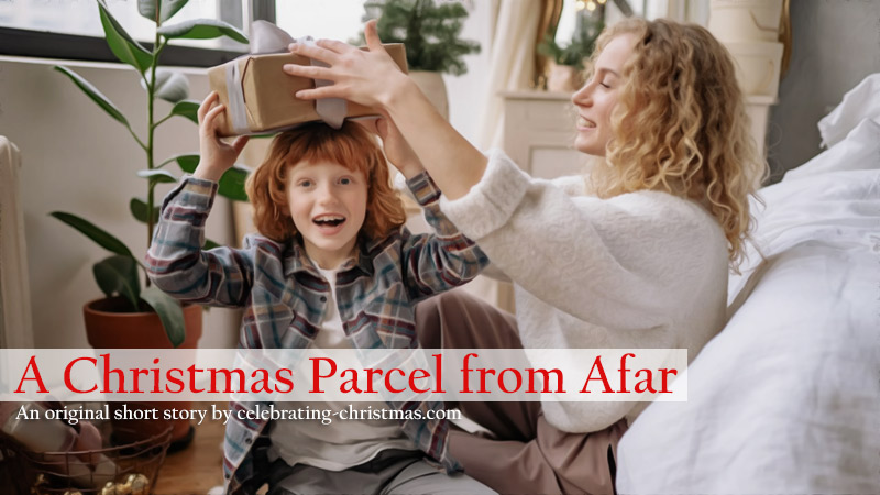 A Christmas Parcel from Afar - Free Online Short Story